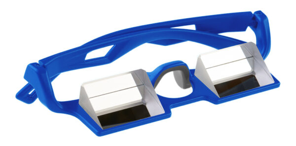 Belay Glasses VC blue