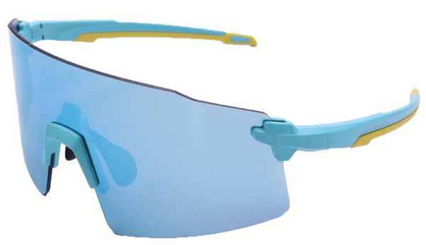 Sun Glasses RX
