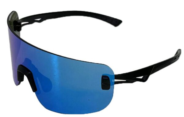 Sun Glasses RX